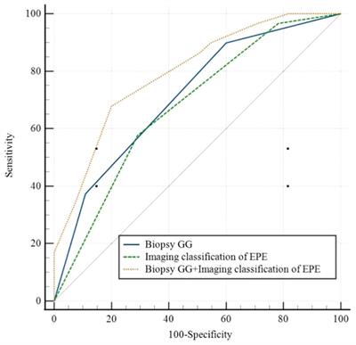 Imaging classification of prostate cancer with extracapsular extension and its impact on positive surgical margins after laparoscopic radical prostatectomy